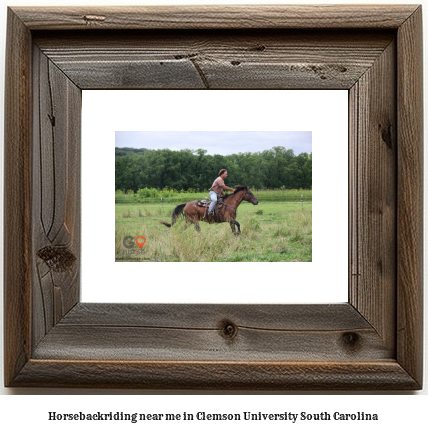 horseback riding near me in Clemson University, South Carolina